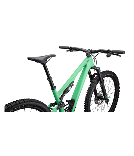 Specialized Stumpjumper 15 Expert Satin Electric Green / Satin Forest Green