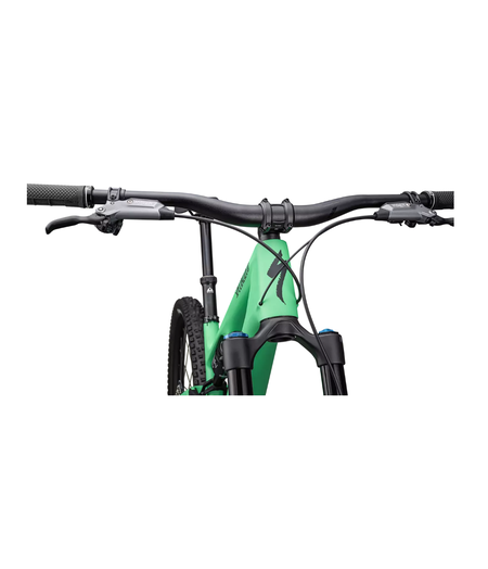 Specialized Stumpjumper 15 Expert Satin Electric Green / Satin Forest Green