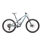 Specialized Stumpjumper 15 Comp Gloss Seafoam / Silver Dust