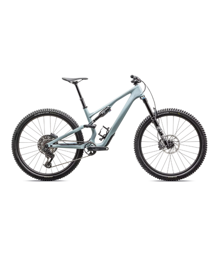 Specialized Stumpjumper 15 Comp Gloss Seafoam / Silver Dust