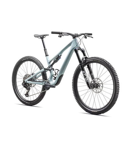 Specialized Stumpjumper 15 Comp Gloss Seafoam / Silver Dust
