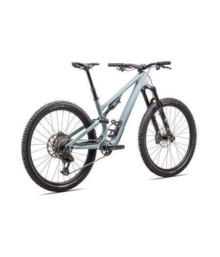 Specialized Stumpjumper 15 Comp Gloss Seafoam / Silver Dust