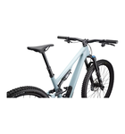 Specialized Stumpjumper 15 Comp Gloss Seafoam / Silver Dust