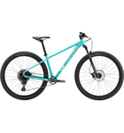 Specialized Rockhopper Expert 29 Gloss Lagoon Blue