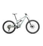 Specialized Status 2 170 Satin White Sage / Rusted Red