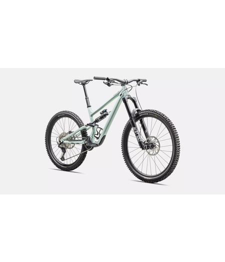 Specialized Status 2 170 Satin White Sage / Rusted Red