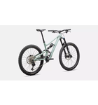 Specialized Status 2 170 Satin White Sage / Rusted Red