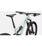 Specialized Status 2 170 Satin White Sage / Rusted Red