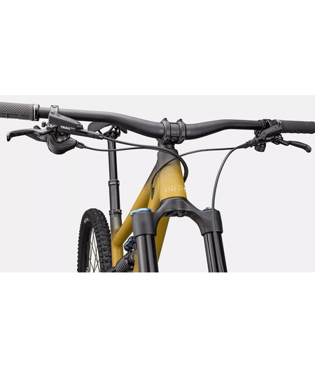 Specialized Status 2 170 Satin Harvest Gold Tint / Obsidian / Dune White