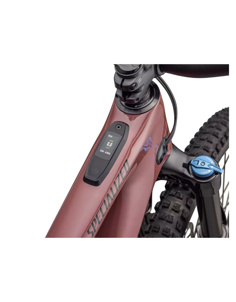 Range Extender Specialized Motor Review Specialized Turbo Levo SL - Main Image