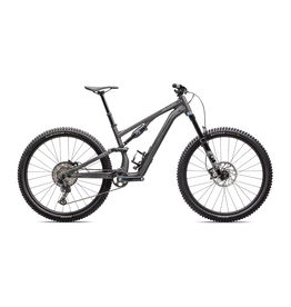 Specialized Stumpjumper 15 Comp Alloy Gloss Smoke / Cool Grey
