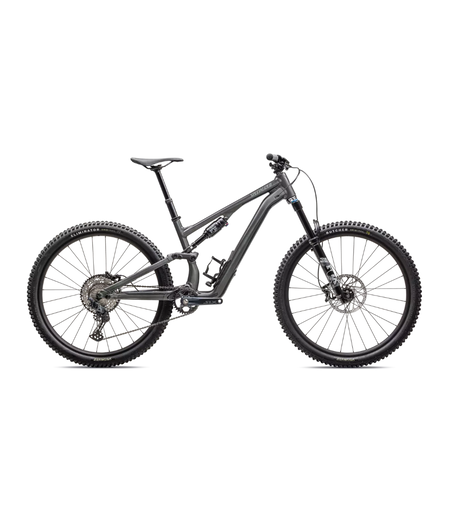 Specialized Stumpjumper 15 Comp Alloy Gloss Smoke / Cool Grey