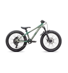 Specialized P.1 Trail 20" MTB Satin Mettalic Pine Diffused / Spruce / Mettalic Obsidian