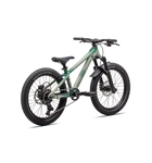 Specialized P.1 Trail 20" MTB Satin Mettalic Pine Diffused / Spruce / Mettalic Obsidian