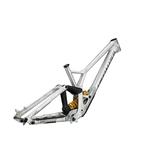 Specialized Demo Race Frameset Gloss Flake Silver / Gunmetal / Brushed