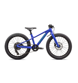 Specialized Riprock 20 Gloss Sapphire Emerald Green