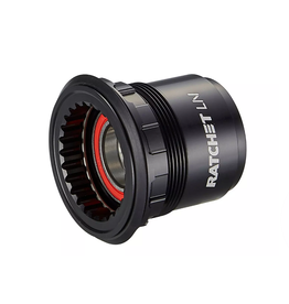 DT Swiss Freehub Body for Ratchet LN, SRAM XD driver, Alloy (DT Swiss HWRAAM00S9720S) (without End Cap)