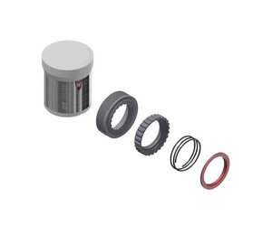 Service Kit- spring, grease, 36T EXP ratchets (NO bearings)