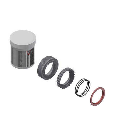 DT Swiss Service Kit- spring, grease, 36T EXP ratchets (NO bearings)