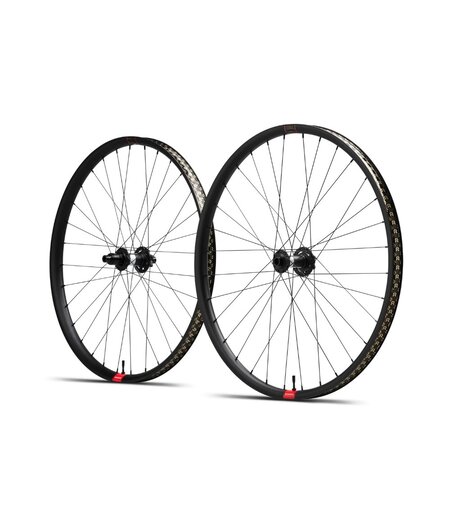 Reserve RSV 30 HD 29er Hubs DT 350 6-Bolt  XD 90T DEG F 15x110 R 12x148