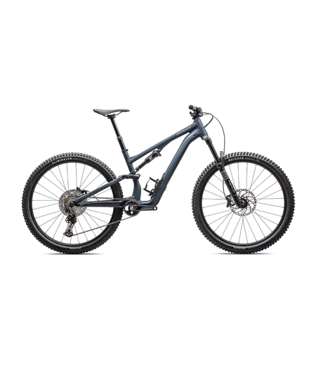 Specialized Stumpjumper 15 Alloy Satin Cast Blue / Dove Grey