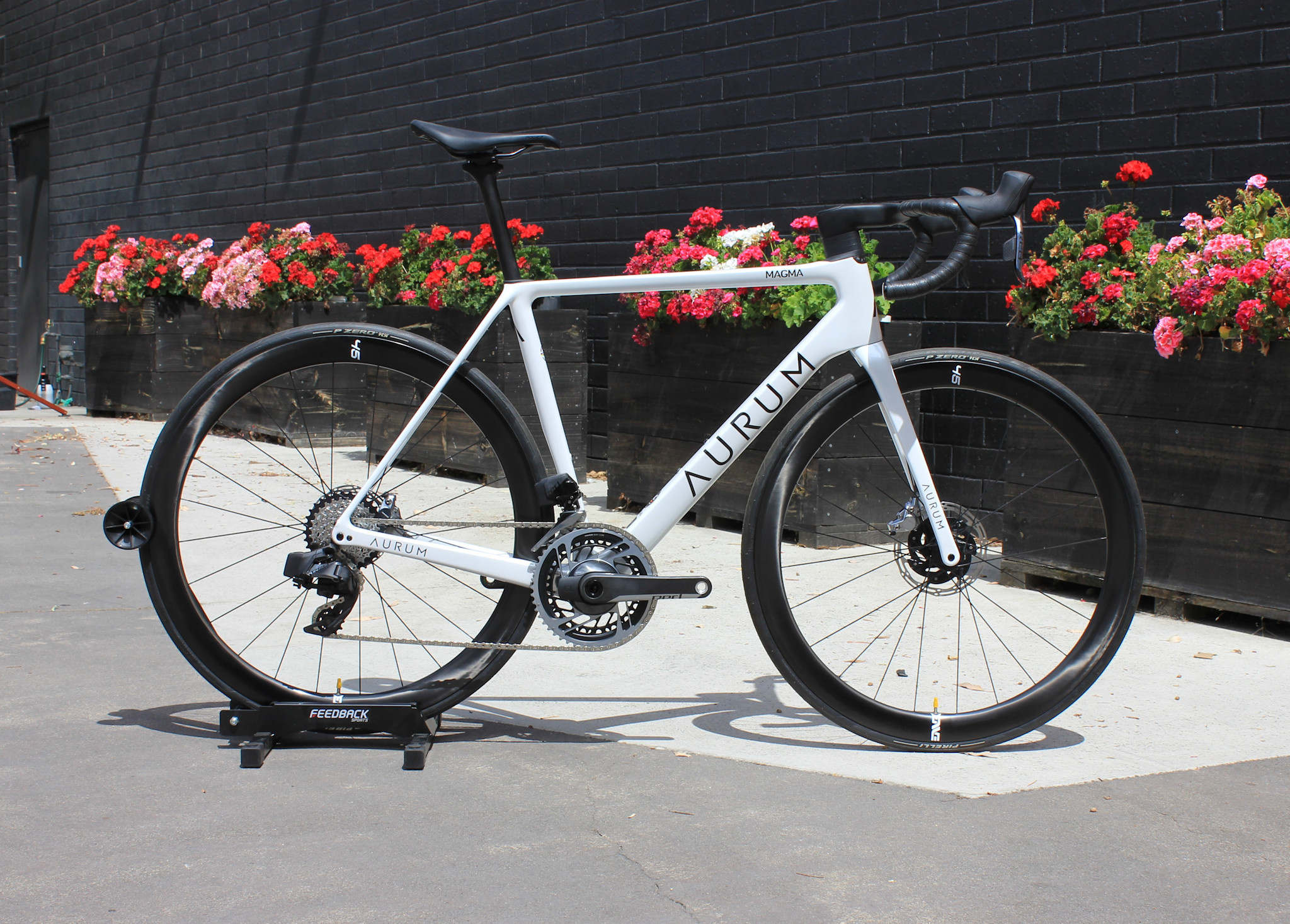 Cycling Bici Basso Contador Aurum Cycling