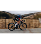 Specialized S-Works Tarmac SL8 Frameset: FDJ - SUEZ - Gloss Team, FDJ