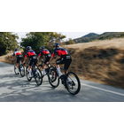 Specialized S-Works Tarmac SL8 Frameset: FDJ - SUEZ - Gloss Team, FDJ