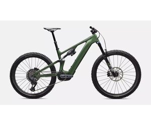 Turbo Levo 4 Expert - Gloss Cypress Metallic / Silver Dust