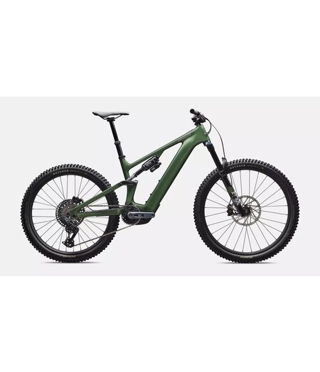 Specialized Turbo Levo 4 Expert - Gloss Cypress Metallic / Silver Dust