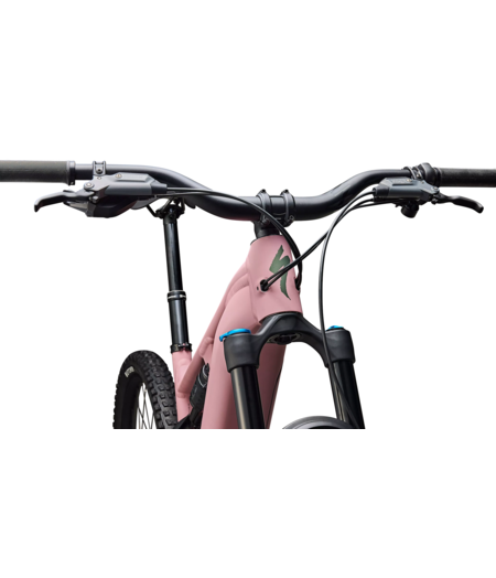 Specialized Turbo Levo 4 Comp Alloy Satin Dusky Pink / Cypress Metallic