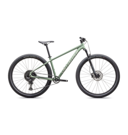 Specialized Rockhopper Comp Gloss Pistachio / White Mountains
