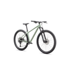 Specialized Rockhopper Comp Gloss Pistachio / White Mountains