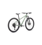 Specialized Rockhopper Comp Gloss Pistachio / White Mountains