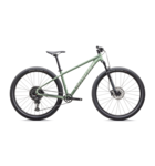 Specialized Rockhopper Comp Gloss Pistachio / White Mountains