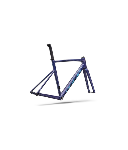 Specialized Allez Sprint Frameset Majesty Blue