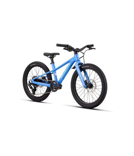 Specialized Riprock 20 - Gloss Sky Blue / Oasis and Desert Rose