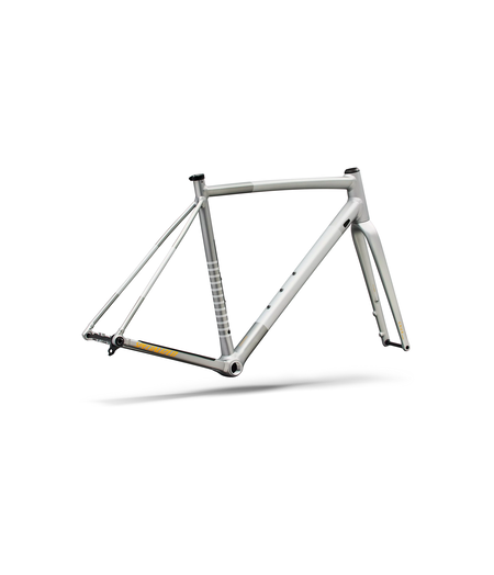 Specialized Crux DSW Frameset Shadow Silver/ California Sunshine