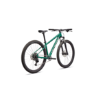 Specialized Rockhopper Sport Gloss Pine Green / Desert Rose