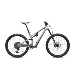 Specialized Stumpjumper 15 EVO Comp Gloss Shadow Silver / Majesty Blue Metallic