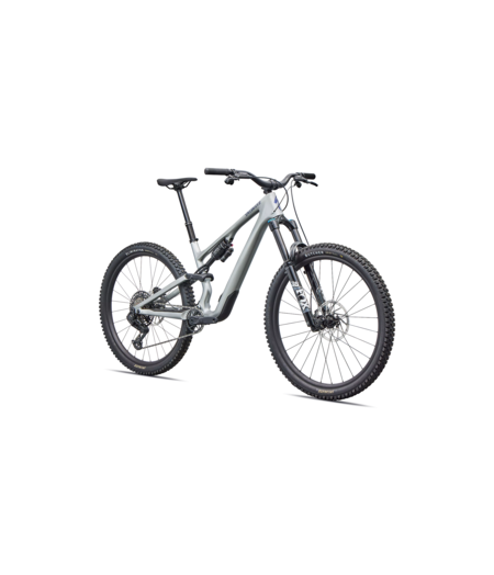 Specialized Stumpjumper 15 EVO Comp Gloss Shadow Silver / Majesty Blue Metallic