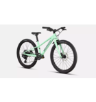 Specialized Riprock 24 Gloss Oasis / Emerald Metallic