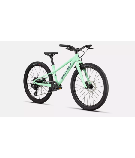 Specialized Riprock 24 Gloss Oasis / Emerald Metallic