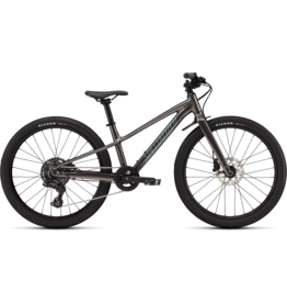 Specialized Riprock 24 Gloss Smoke / Fjord Metallic