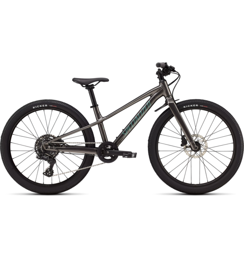 Specialized Riprock 24 Gloss Smoke / Fjord Metallic