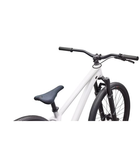 Specialized P.3 Dirt Jump MTB Satin Metallic White Silver / Metallic Obsidian