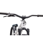 Specialized P.3 Dirt Jump MTB Satin Metallic White Silver / Metallic Obsidian