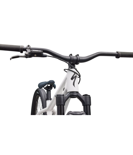 Specialized P.3 Dirt Jump MTB Satin Metallic White Silver / Metallic Obsidian