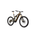 Specialized S-Works Turbo Levo 4 Gloss Laurel Green / Burnt Gold / Chrome