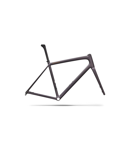Specialized Aethos 2 Frameset FACT 10r Carbon - Satin Nebula Metallic / Burnt Gold Metallic